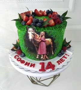 Торт зеленый девочке Софии на 14 лет №151610
