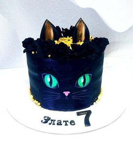 Торт черная кошка Злате на 7 лет №185207