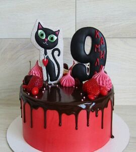Торт черная кошка на 9 лет №185220
