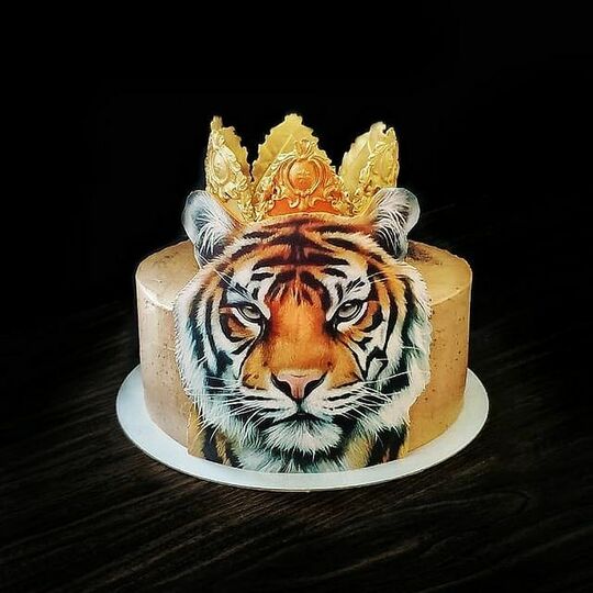 Торт с тигром №492623