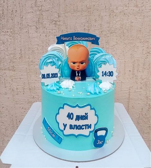 Торт на 40 дней у власти №731501