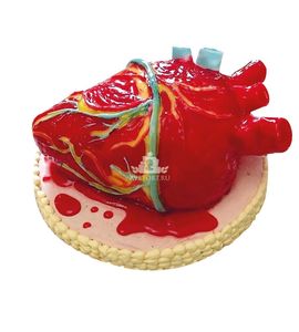 Торт 3D Человеческое сердце
