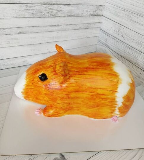 Торт морская свинка №157802