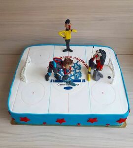 Торт хоккейное поле №463606