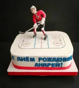 Торт хоккейное поле №463623