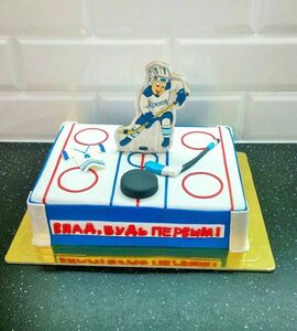 Торт хоккейное поле №463646