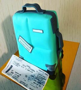 Торт чемодан с деньгами №447694