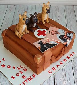 Торт ветеринару №459114
