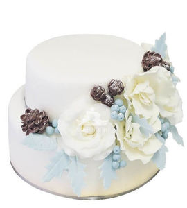 Торт с шишками и розами двухъярусный белый