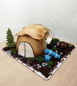 Торт палатка №160804