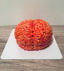 Торт неврологу №159511