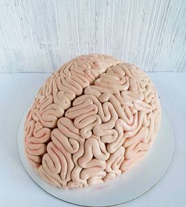 Торт нейрохирургу №159710