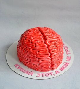 Торт в виде мозга №148112