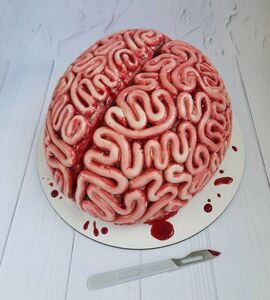 Торт в виде мозга №148122