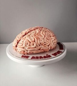 Торт в виде мозга №148125