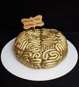 Торт в виде мозга №148132