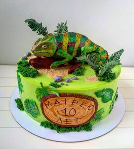 Торт хамелеон №181209
