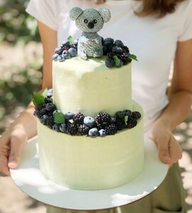 Торт коала №138914