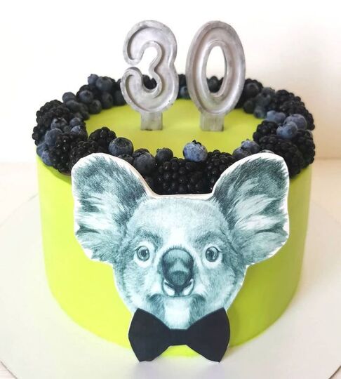 Торт коала на 30 лет мужчине №138920