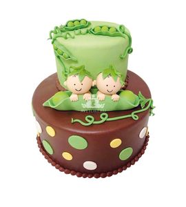 Торт Новорожденным близнецам