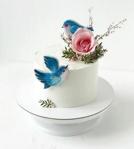 Торт с птичками №507307