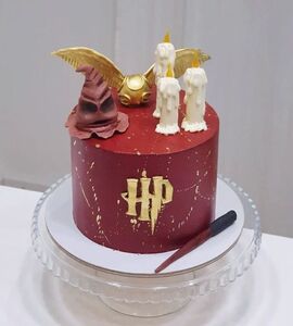 Торт Шляпа Гарри Поттера №188511