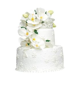 Свадебный торт Радис