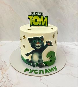 Торт Говорящий Том Руслану №733410
