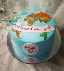 Торт земной шар №468413