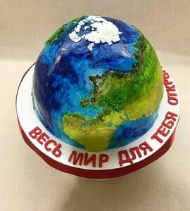 Торт земной шар №468426
