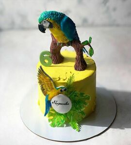 Торт с попугаями №492102