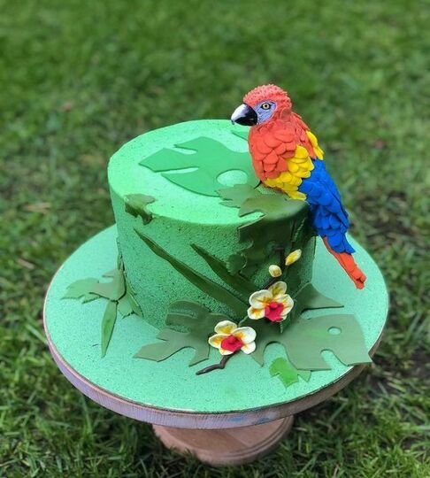 Торт с попугаями №492108