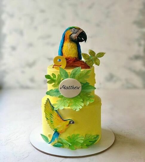Торт с попугаями №492113