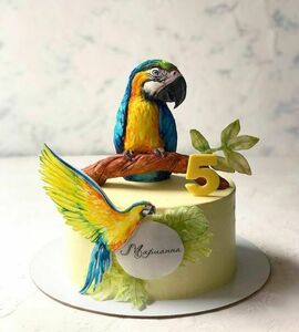 Торт с попугаями №492114