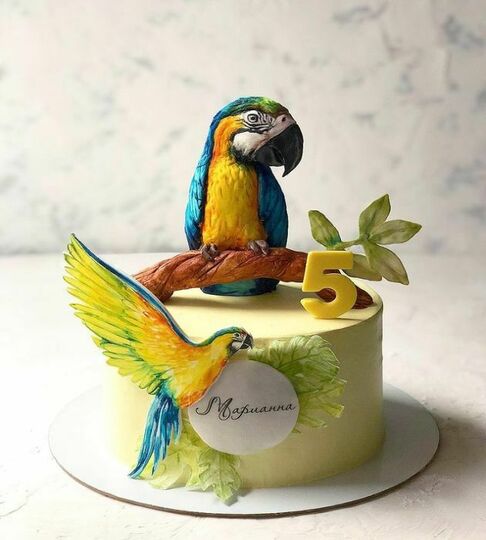 Торт с попугаями №492114