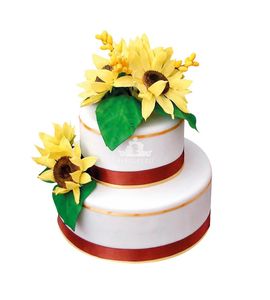 Свадебный торт Солейн
