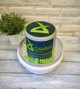 Торт Gamma Group №480313