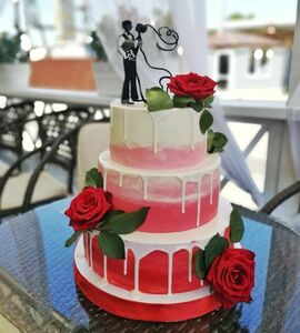 Торт с женихом и невестой №506624