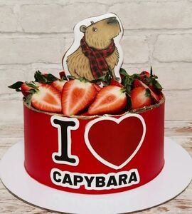 Торт любимой Капибаре №980227