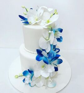 Торт бело-синий №147113