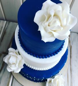Торт бело-синий №147114