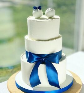 Торт бело-синий №147129