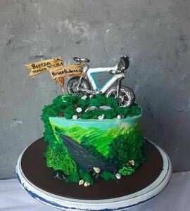 Торт велосипед №465110