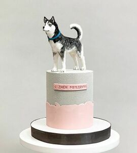 Торт с собаками №492502
