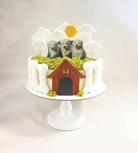 Торт с собаками №492504
