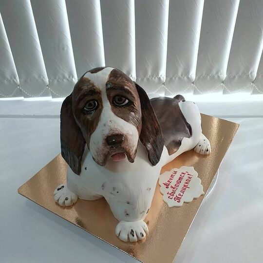 Торт с собаками №492510