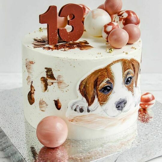 Торт с собаками №492519
