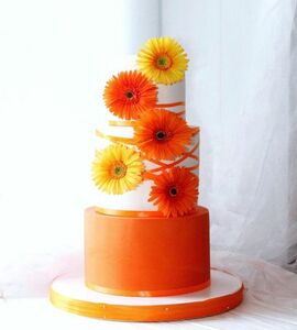 Торт оранжевый №509505