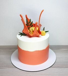 Торт оранжевый №509507