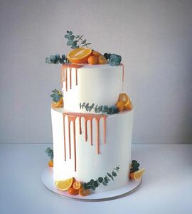Торт оранжевый №509509
